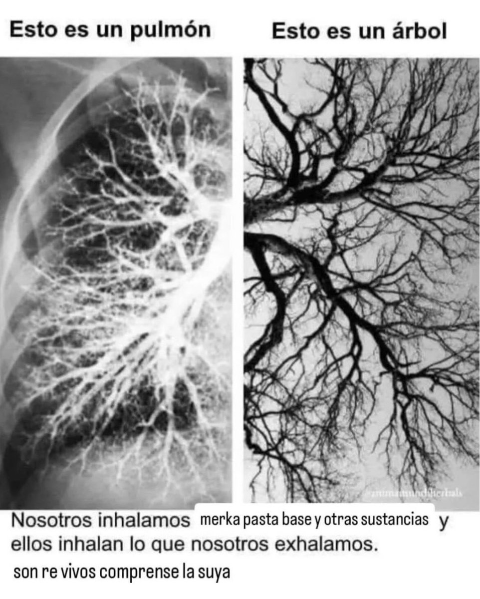 chinaconfiebre's tweet photo. https://t.co/hLdgfTVxfd