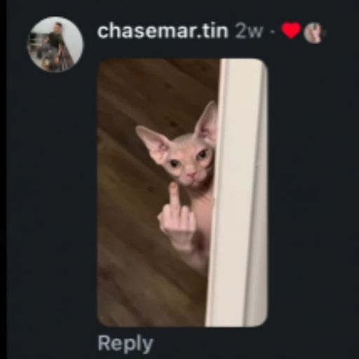 Andy tweet media