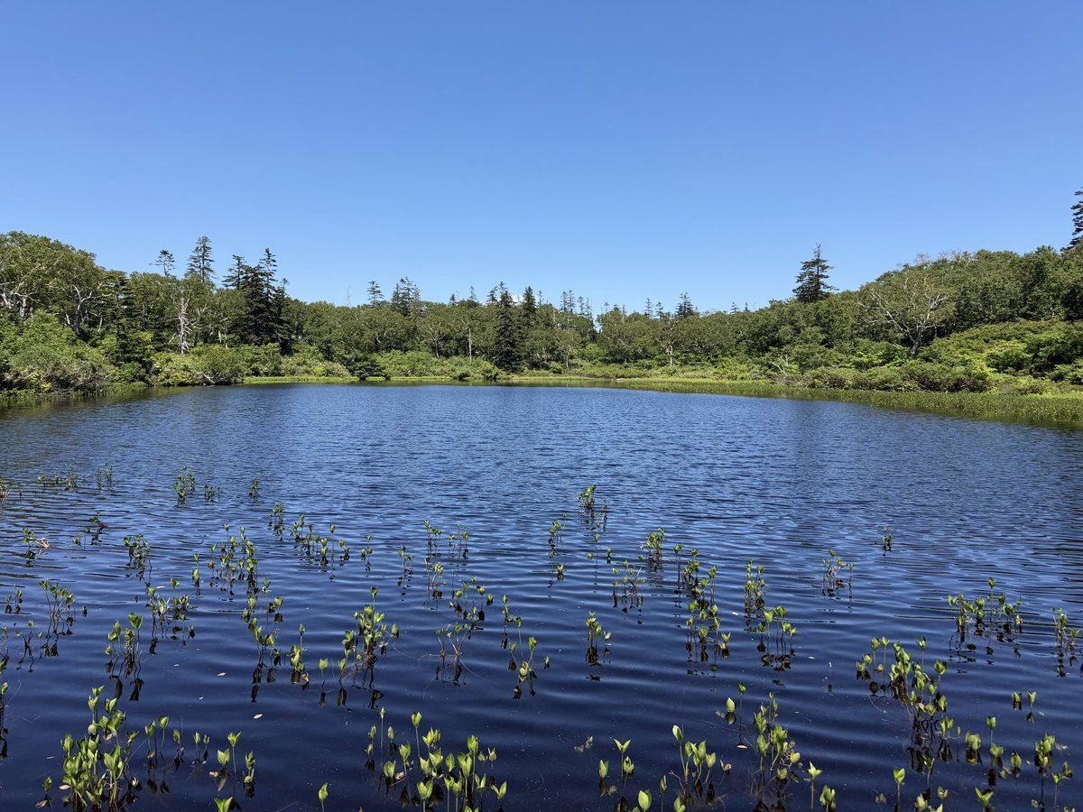 hogehoge092's tweet photo. 北海道旅行に行ってきたけども、写真をほとんど撮っていなかった。

今回で2回目の北海道だったけど、相変わらず北海道の大きさなめていた。もっと狭い範囲で観光するほうが良さそう。 https://t.co/hr3m29ySkp