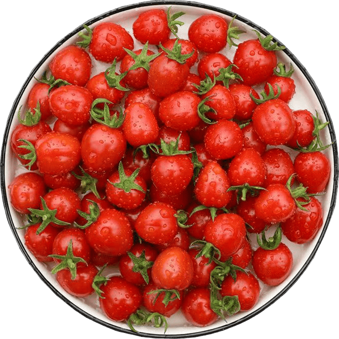 TiFox9's tweet photo. [Just tested the juiciest summer heirloom tomatoes—sweet, tangy, and bursting with fresh flavor, perfect for salads!  Must-buy for foodies!] https://t.co/ofA1FNOgu9
