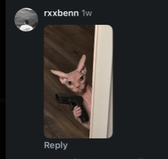 Andy tweet media