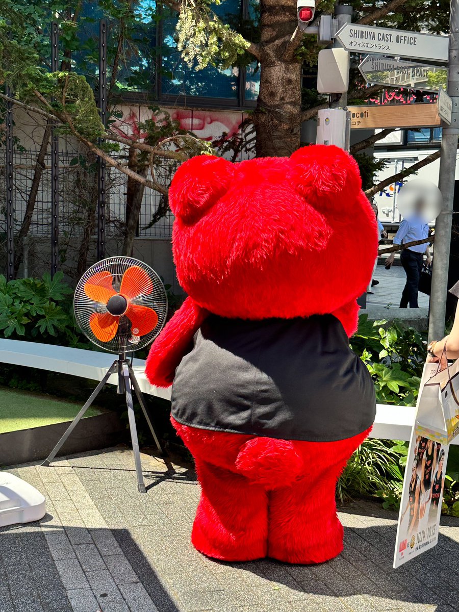 oniku_harami's tweet photo. セミと遭遇したときのルークを思い出した。 https://t.co/A4syrsnA4G