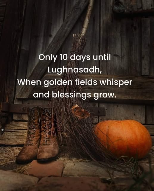 SubRosaMagick's tweet photo. #GoodNightWitches #goodnight #GoodNightTwitterWorld #GoodNightEveryone #goddess #sleepwell #SweetDreams #night #nightprayers #moonlight #witchesoftwitter #witches #moonmystic #staywild #moonchild )O( https://t.co/Z1eU4cB5lT