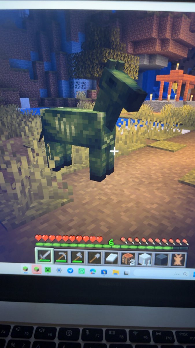 _r6wz's tweet photo. #Minecraft 🥰 7:44 https://t.co/Rq72e0yvn4
