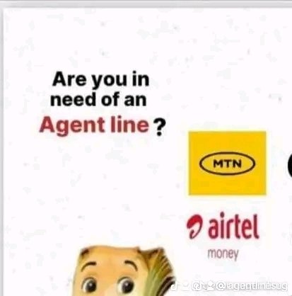 agentlinesug's tweet photo. GENUINE AGENT LINES. 
Have you tried to get Mobile  Money Lines before! Now with Only a National I.D, Call 0703913295 / WhatsApp 
https://t.co/nvrjZSjdIE
Get a New Airtel Line at only 100k fully registered in only your National ID in one hour. MTN agent line processing is 350k https://t.co/uVNGP8ZBtU