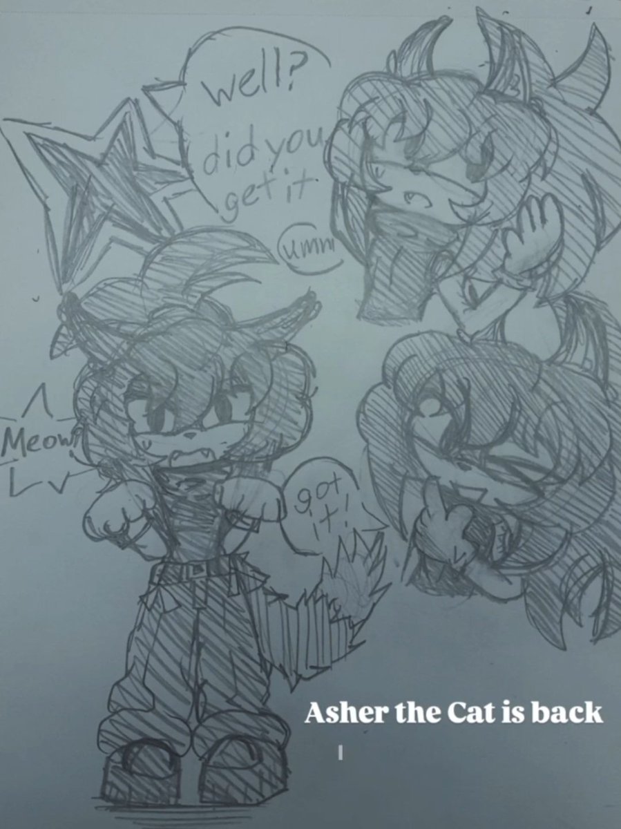 okay_idc_'s tweet photo. Asher and Akira X sonic style #AsherShinkai #oc #AkiraTakahashi #sonicstyle https://t.co/2p2Uq47kF7
