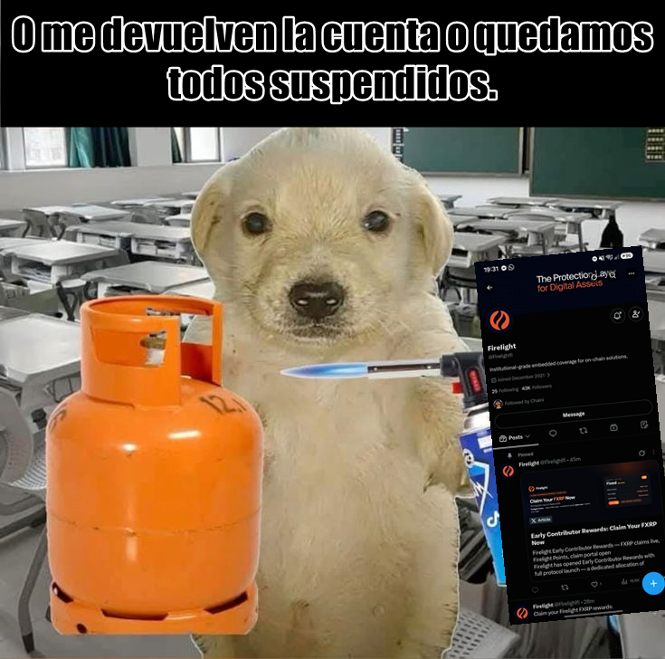 Inventario_JJKL's tweet photo. ‼️ATENCIÓN‼️
Nos hackearon la cuenta original de Inventario_JJKL

Empezaremos de 0. Nuestro caso aún está en revisión, pero no creemos recuperarla.

Nos alegraría mucho si pudieran seguirnos de nuevo.
Que los hackers no nos quiten el amor que tenemos por Jujutsu Kaisen 💪❤️ https://t.co/2wY9buq0MM