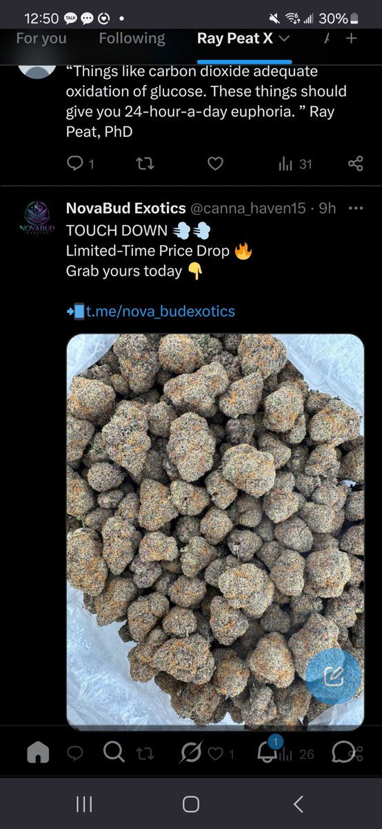 malignyant's tweet photo. I only smoke runtz or og zkittles... gotta roll em in a wood or they don't hit right. 

-Ray Peat https://t.co/e0OVoX1SsB