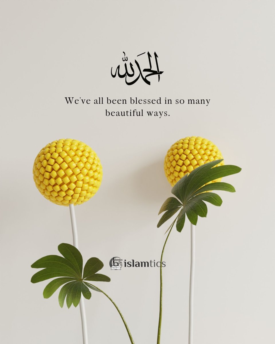 islamtics's tweet photo. We’ve all been blessed in so many beautiful ways. https://t.co/X22MBDskNs
