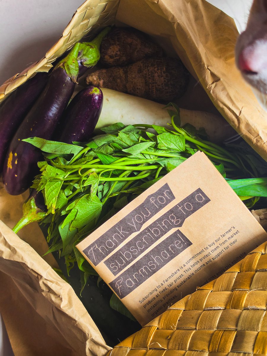 binilat__mulat's tweet photo. i tried yung farmshare ng Good Food Community and I BASICALLY GOT A "SINIGANG STARTER PACK"!

basically, subscription siya to have vegetables (direct from farmers) delivered to your doorstep. nakilala ko sila dahil nagpitch sila nung DE5TINO event https://t.co/RaYgEsSz3L