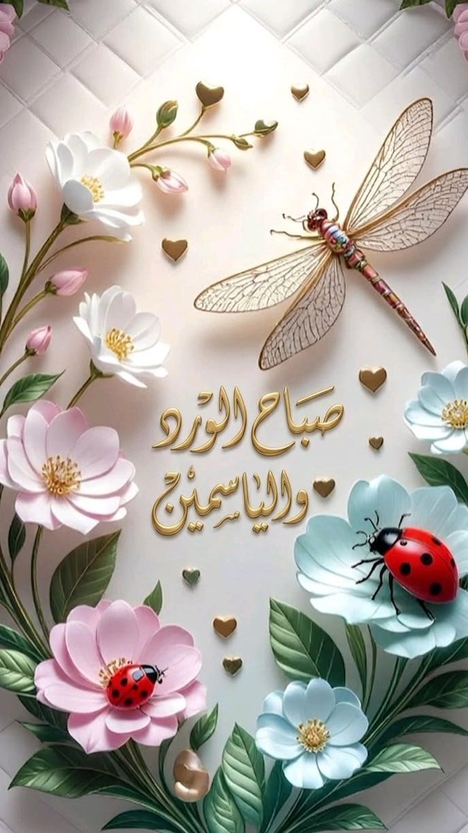RaA__AL's tweet photo. صباحٌ يطمئن القلب… 
مهما بدا الأمر معقّدًا، يبقى لطفُ الله أقرب، ورحمته أوسع، وتدبيره أجمل مما نظن.
ثق بالله… فلطفه ممتدّ دائمًا. 

#صباح_الخير_والسعادة_للجميع https://t.co/49SZuUzjyz
