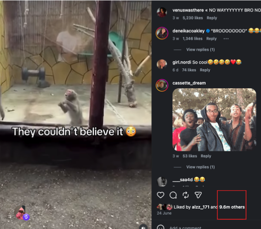 7aneski's tweet photo. Next VIRAL ANIMAL MEME TEMPLATE?

THIS MONKEY REACTION IS GOING GIGA VIRAL!

man backflipped in front of these monkey and his reaction he's saying " WOW NO WAY" like human😭

over 200M+ views + 10M LIKES HELLO?

https://t.co/39mfAhMHnx

https://t.co/hju8jV1px8 https://t.co/lmvRYTBgYm