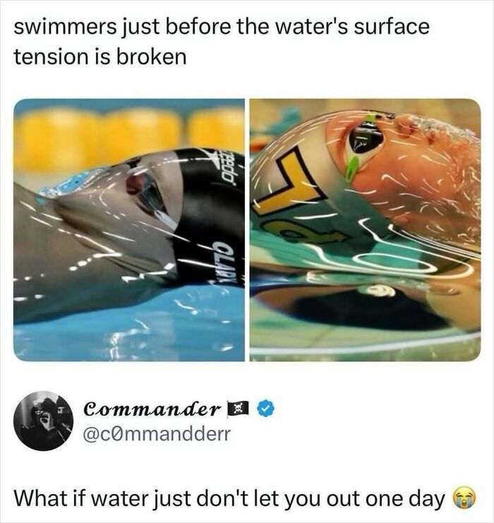 WholesomeMeme's tweet photo. https://t.co/H6l47LqFn5