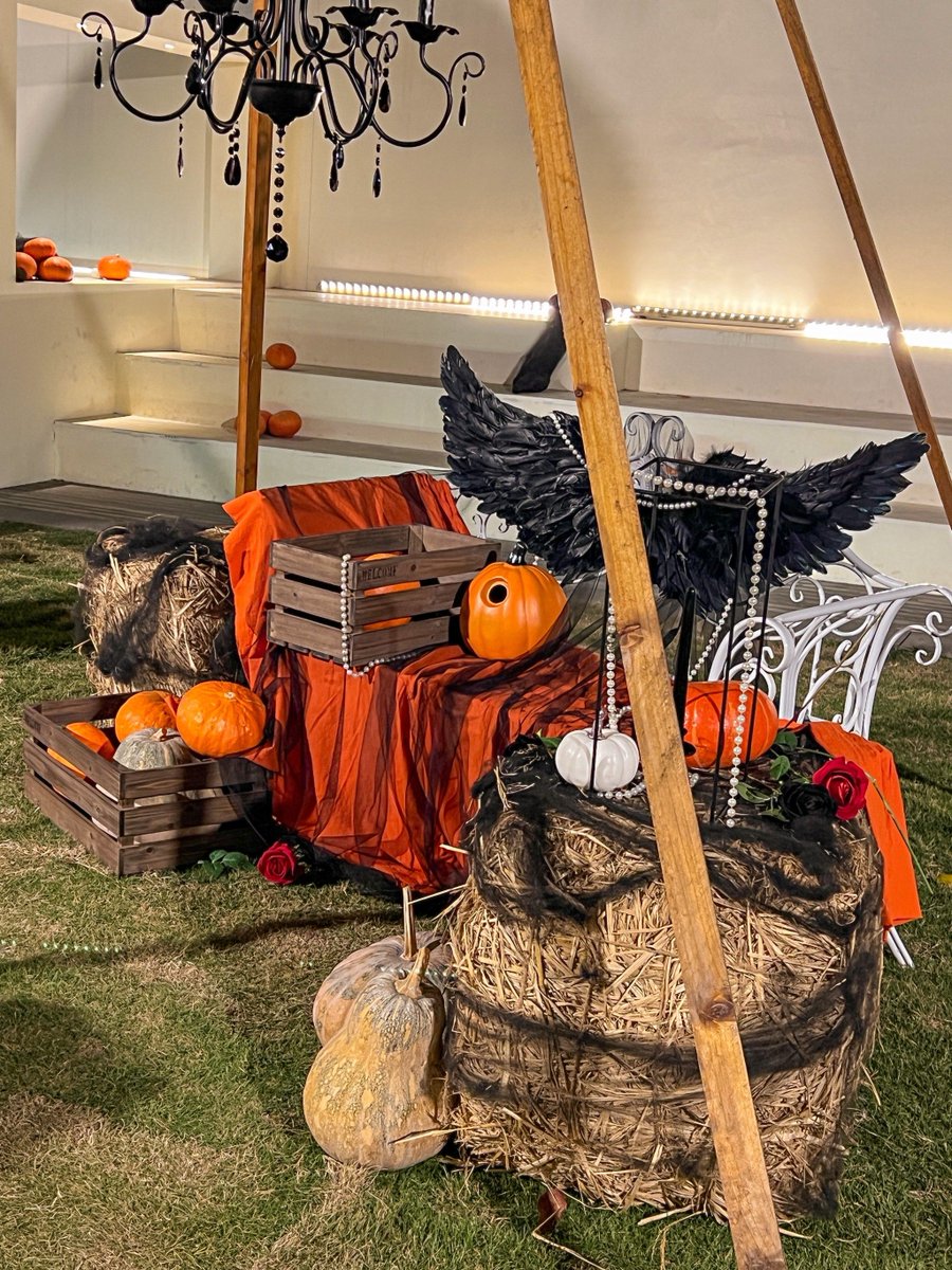 fghwlej's tweet photo. Spooky Season is here! Treat yourself to our Halloween Special Feast: pumpkin macu0026cheese, crispy chicken tenders, and spooky-shaped sugar cookies. Limited time only!  Order now  [link] https://t.co/lTmmgbxlwv