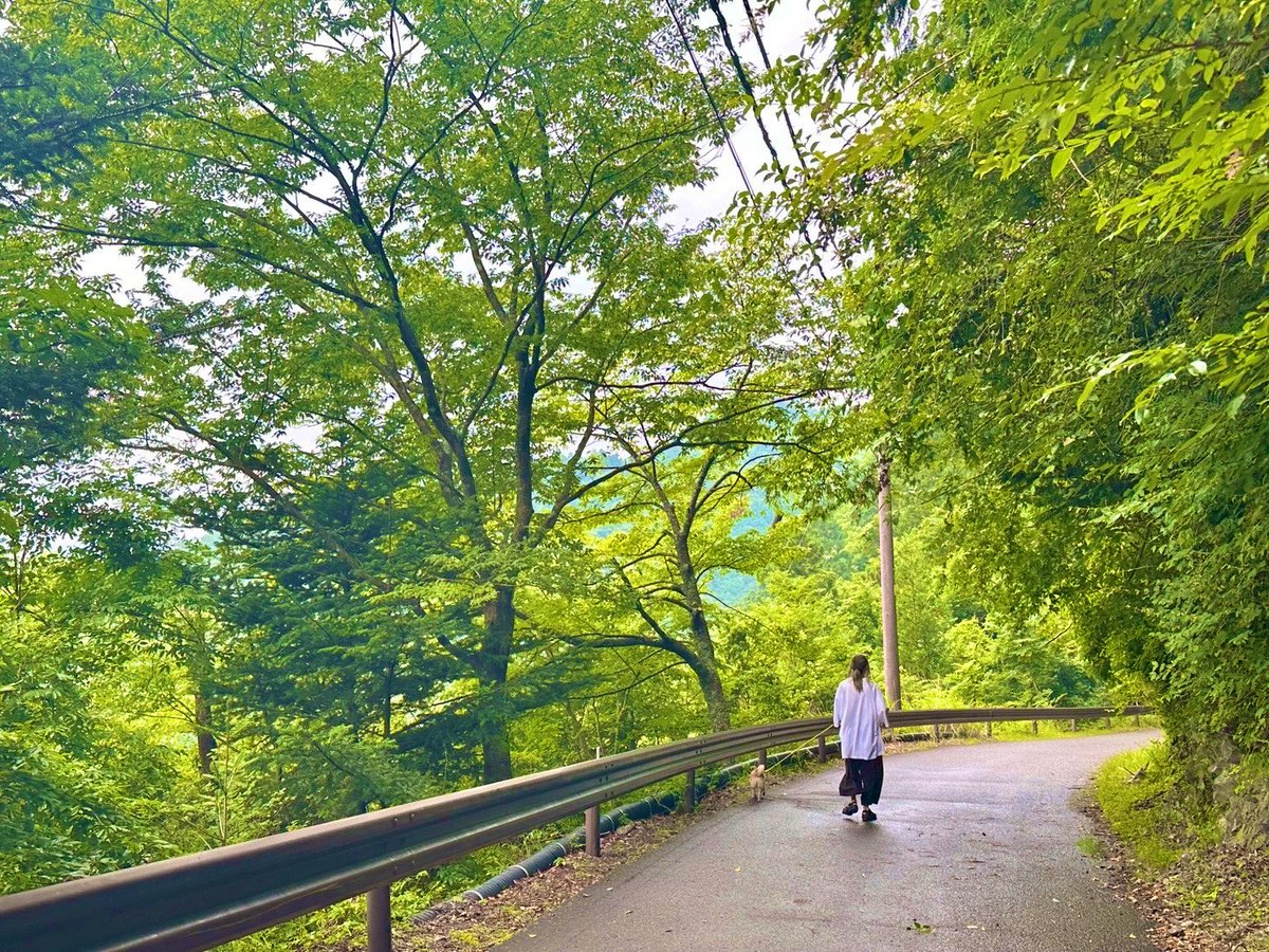 Ruka_UNPLACE's tweet photo. ここ最近の、りょーちん&amp;うに。
りょーちんは、ボクのあだ名です。
ポイントガードです。
この歳になると、山で食べる川魚の塩焼きが何よりも1番美味いです🐟笑 https://t.co/v3KjSrm4nK