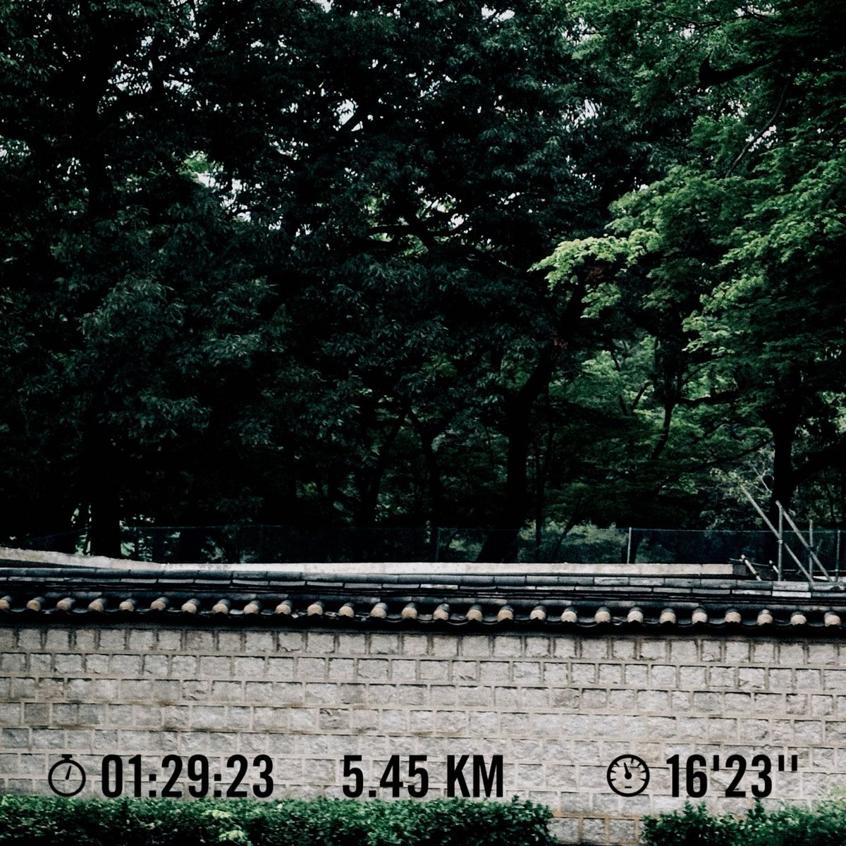 KIMWooJe's tweet photo. #nike #nikeplus #justdoit #nikerunclub https://t.co/OpobapUJKT