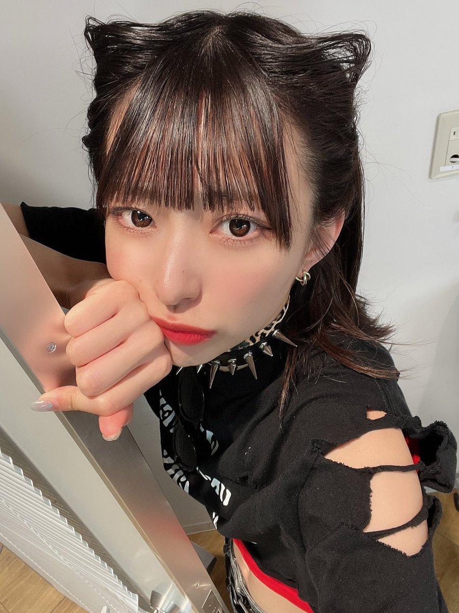 AYAPRi_LUCY's tweet photo. にゃんぽこらですわ🐈‍⬛❤︎ https://t.co/qij15HGwKu