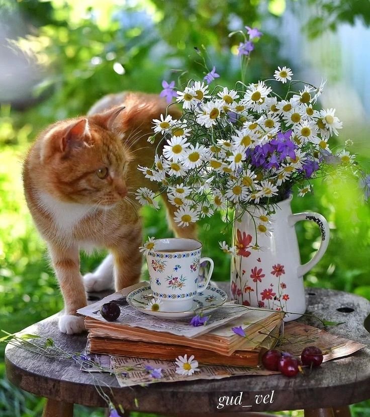 LeonaVrtn's tweet photo. @JanaEnergie Hezký čtvrtek 🤗☕️🌞🍀❤️ https://t.co/XYXqTjZ0mh