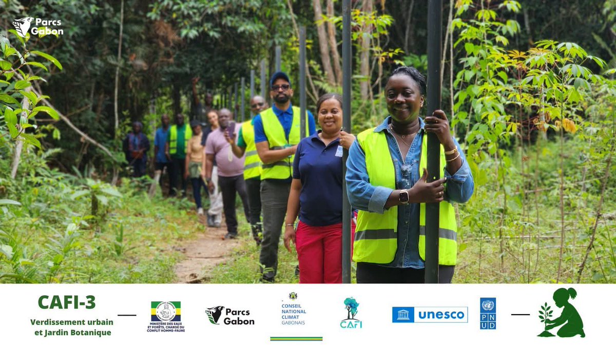 undpgabon's tweet photo. Visite de terrain done !
À l’Arboretum Raponda Walker avec @Parcs_Gabon, @undpgabon, @FMCT et @FPBG_Gabon pour suivre les avancées du projet CAFI 3 – Verdissement urbain & Jardin botanique.
#ANPN #CAFI3 #Libreville #JardinBotanique #Conservation #CAFI
📷 @OgandagaRonny https://t.co/yXcj4j1DVv