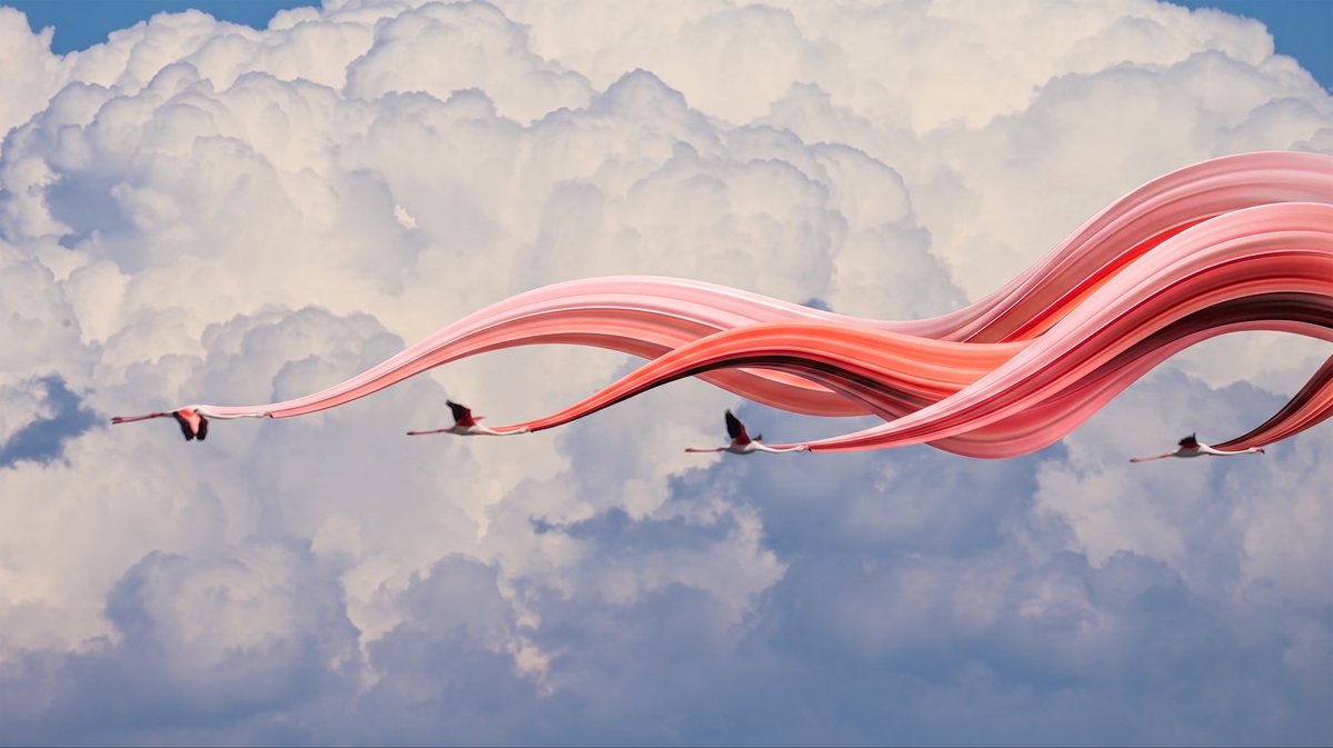 faraz_xyz's tweet photo. New Rising Generation

The Rising collection continues to evolve.

Built from my original photographs and transformed into flowing visual narratives, each piece is a unique 1/1 exploration of movement, color, and memory.

https://t.co/LC3aQSSwtc

Which one speaks to you the most? 🌊🦩🏛️🌅