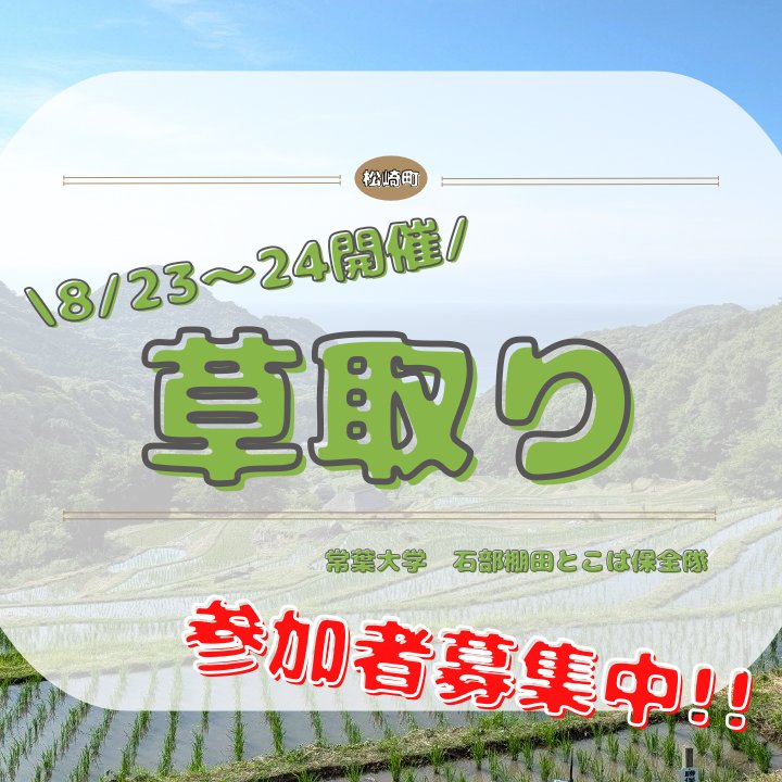 tanada_tu's tweet photo. 皆さんこんばんは！🌙
次の活動の申し込みを開始します！
今回は草取りを行います！🌿

前回参加した方も参加したことがない人も気軽に申し込んでくださいね😙

【募集対象】
全学部・全学年

【申し込み〆切】
7/27(月)

【活動日】
8月22日(土)〜23日(日)（一泊二日） https://t.co/WN8u7LyXFK