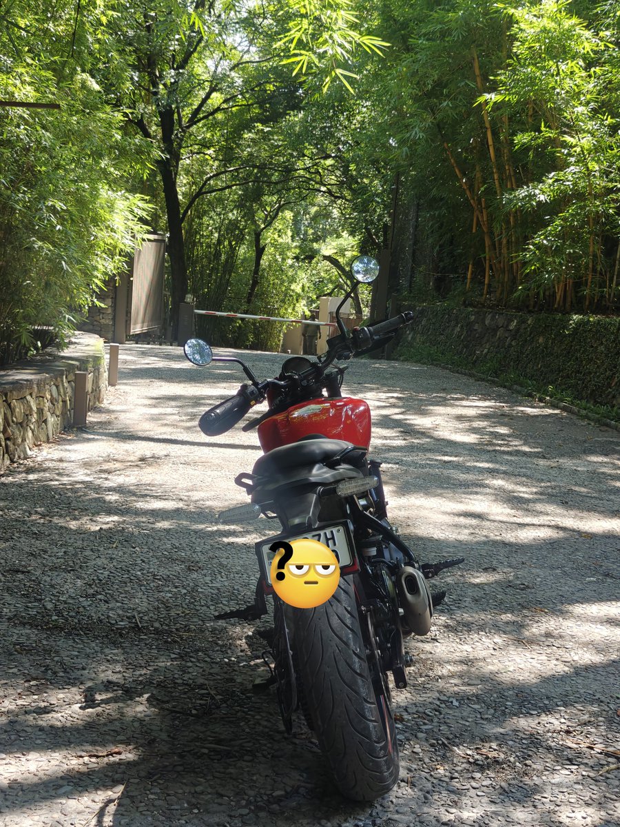 SpecuJesse's tweet photo. mussoorie rd, dehradun. https://t.co/FRzTDKXT8H
