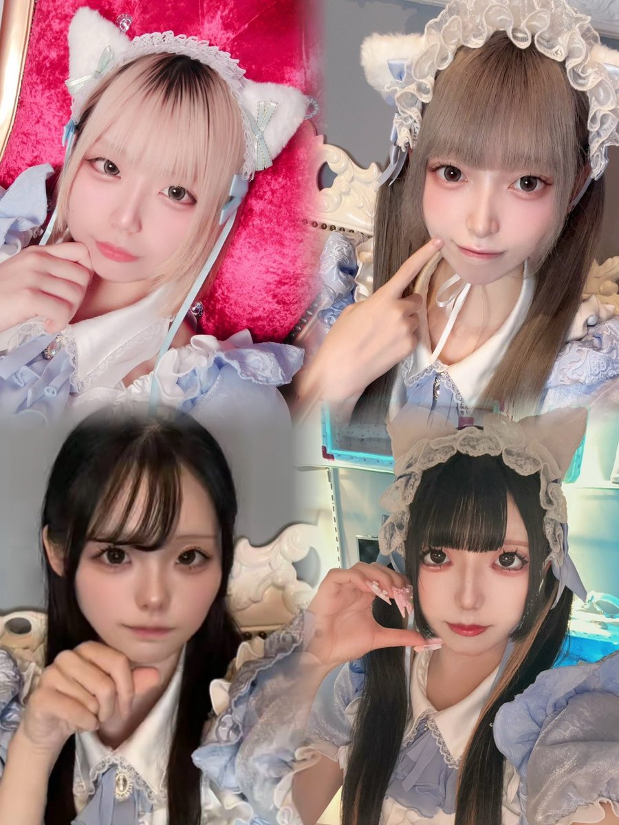 minettecafe's tweet photo. 今日のにゃんこ達🐾

23日
しか      @shika_minette 
ねお      @nneoz_z 
おと      @oto_minette 
くいな  @lxinq_c 

お待ちしております🐈

#富山コンカフェ #コンカフェ #コンカフェ嬢 https://t.co/UIM5X3qgfI