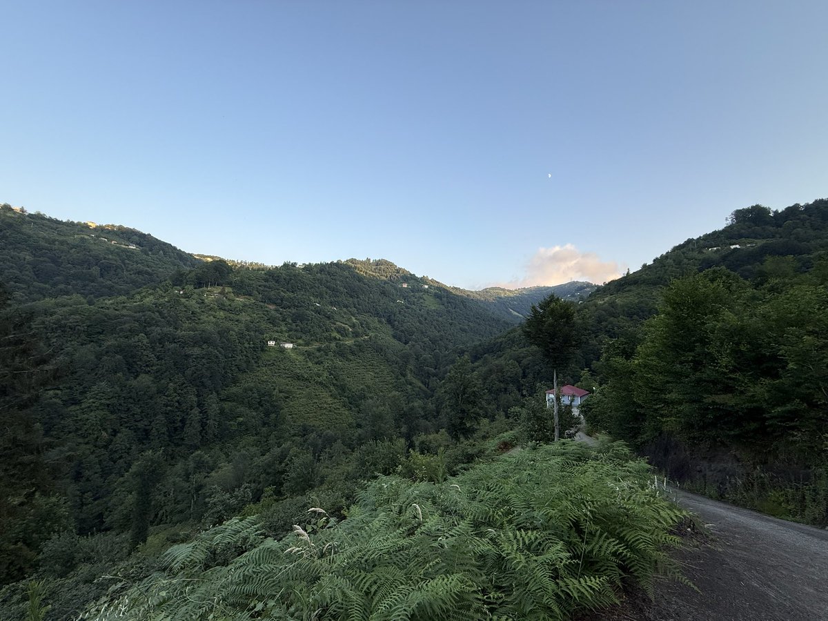 zafersen_com's tweet photo. Yeşili sev koru yaşat ve çoğalt. 🍃 https://t.co/fh4xR0JCvB