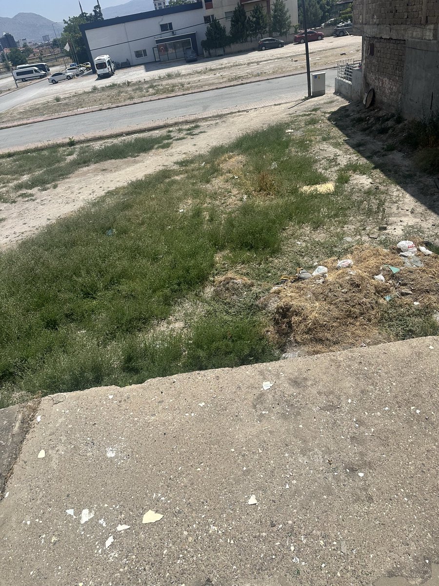 elahsen20's tweet photo. @KayseriBSB kaldırım caddesi  üzeri barış apartmanı no 81 binasının arkası temizlenmesi lazım belediye ekipleri ilgilenmiyor sinek koku oluyor ilgilenir misiniz lütfen https://t.co/J5BwEUlBOU