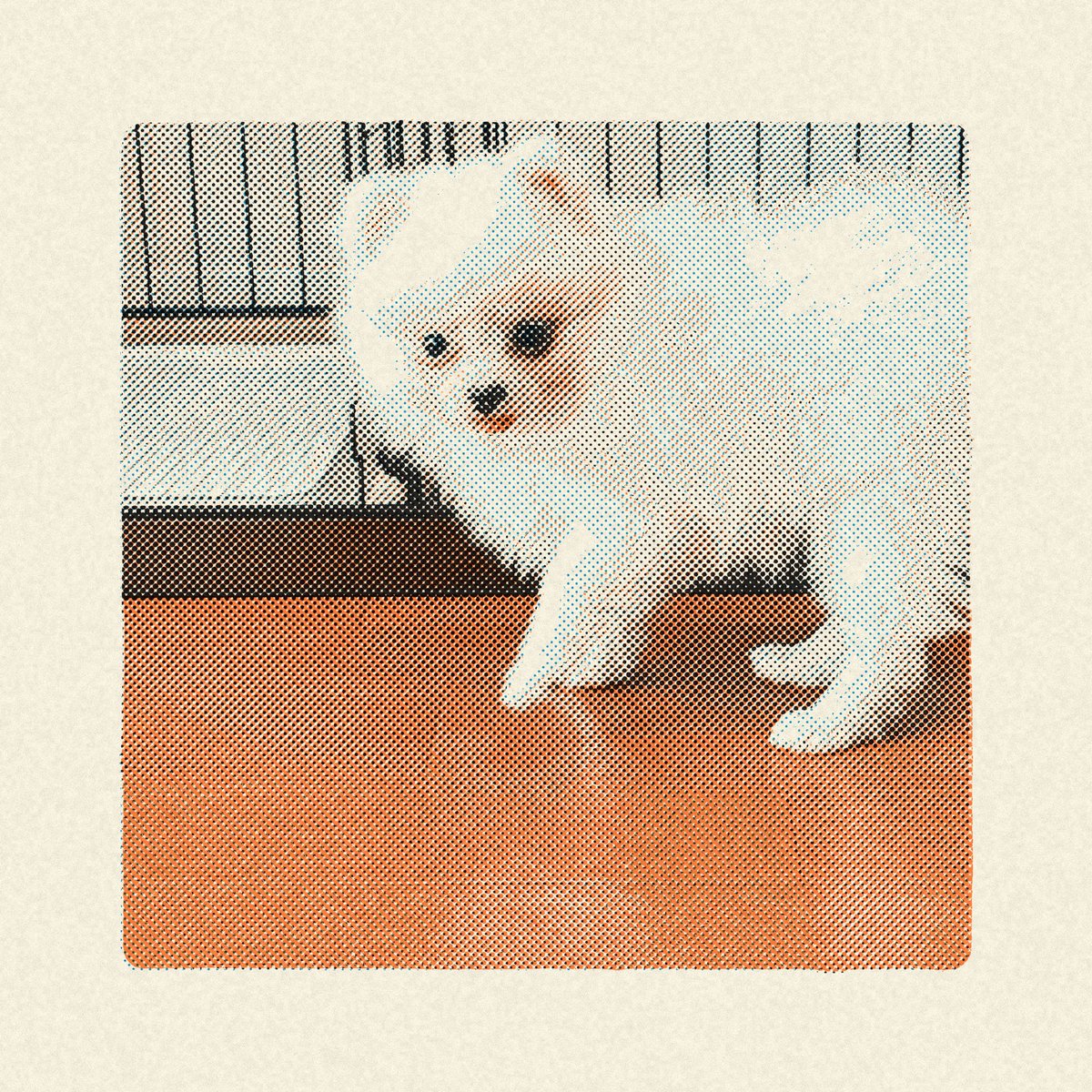 __npan's tweet photo. ちいさきイーヌを紙に印刷（した風のアプリ）
うちのこが紙面に…！という感動がある🐶 https://t.co/dPyX7xwowq