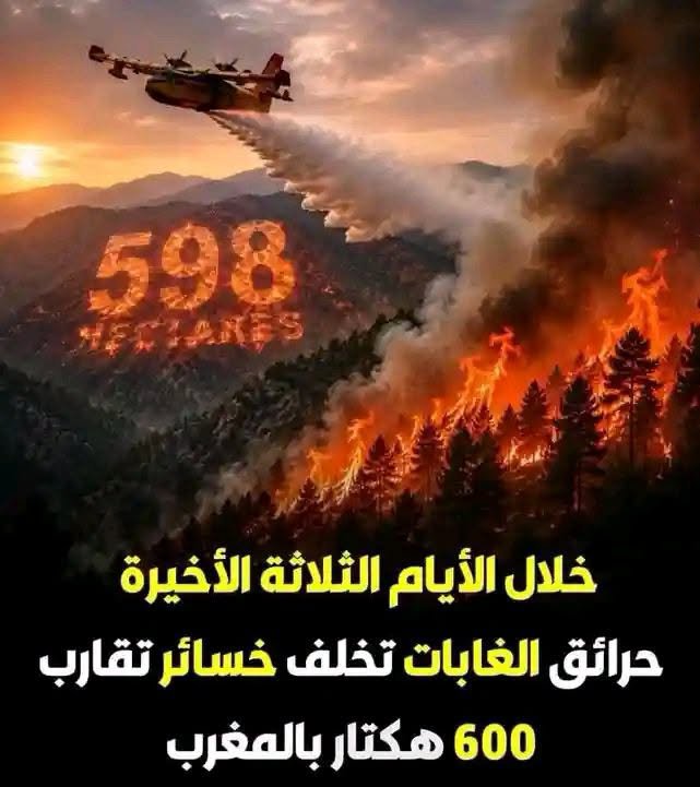 BraBra898092's tweet photo. @marokino23 وحرائق للزريبة ههههه https://t.co/SpdIiHTHIB
