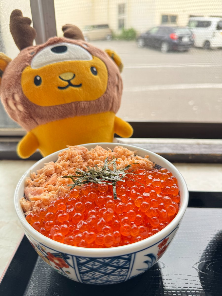 kyunchan_dc's tweet photo. キュン💕
おばんキュン💕💕

斜里町にある食堂で、鮭親子丼をいただいたキュン💕
大好きないくらをこんなに沢山味わえて幸せキュン～💕💕💕

みんなおやすみ～キュン💤 https://t.co/S2AmalD4Y3