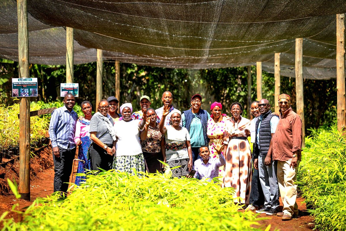 WangariMaathai's tweet photo. Two bamboo projects. One lesson. 🌿

In Nyeri, I saw women turning bamboo into more than seedlings—they're creating livelihoods, adding value, and proving that conservation and economic empowerment can grow together.

When women thrive, nature thrives.
@GreenBeltMovmnt https://t.co/bEGmJHlnaR