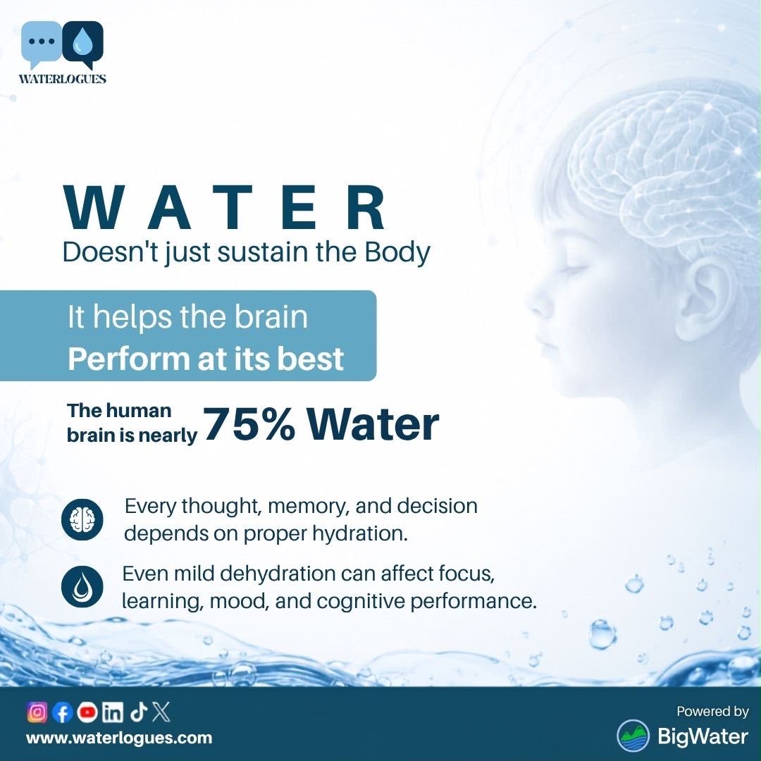 waterlogues's tweet photo. The simplest way to support your brain may already be in your glass!

Discover the science behind hydration and brain health with Dr. Aman P.S. Sohal on Waterlogues.

@NeuropediaDubai @BigWProtocol @paragmatically https://t.co/1SAdJqxkSp