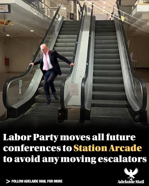 CrapeKitty's tweet photo. @ausvstheagenda https://t.co/cf3egs3Gw7