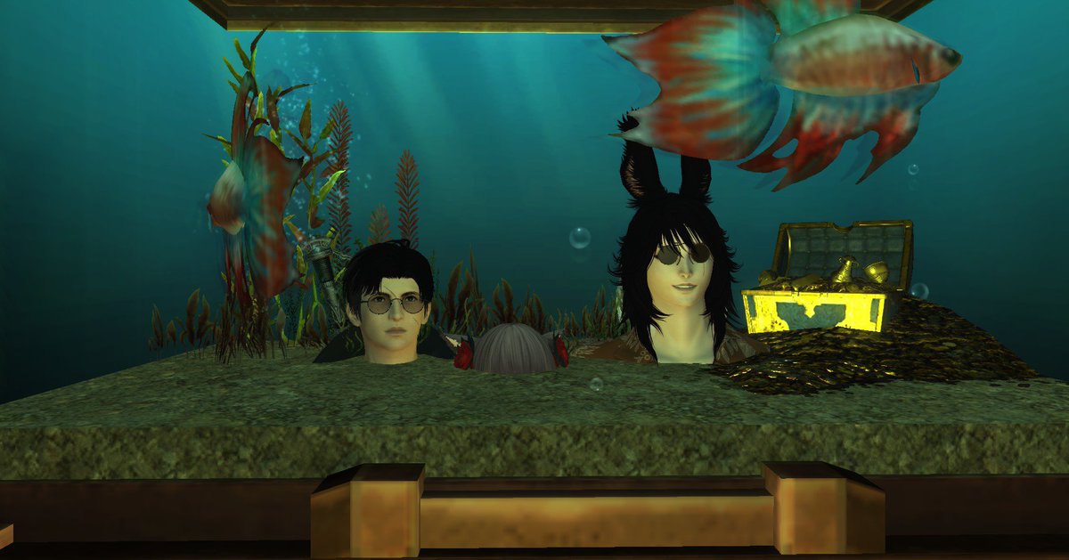 Son6ros's tweet photo. Went to the eorzean aquarium on Sophia yesterday with my friends 
#ffxiv https://t.co/0oiBhZuUxJ