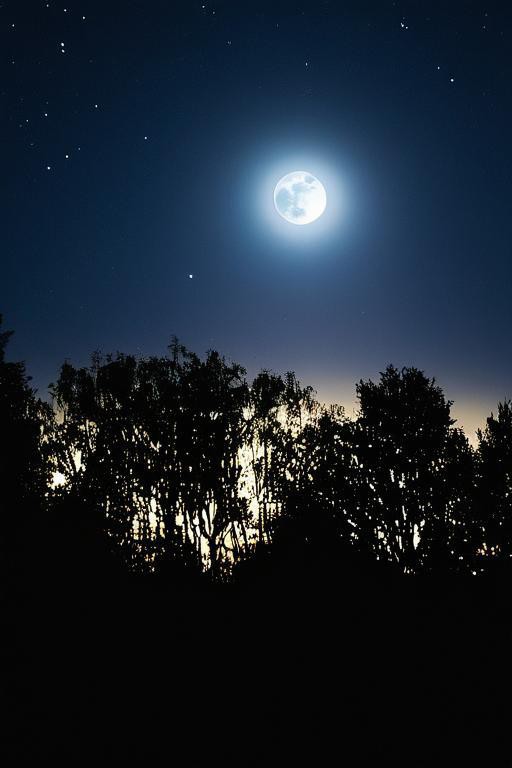 bek99025288's tweet photo. A warm toast to tonight’s harvest full moon—may it bring you abundant joy and cozy moments under its silver glow. ， https://t.co/R9hvywJ6sB