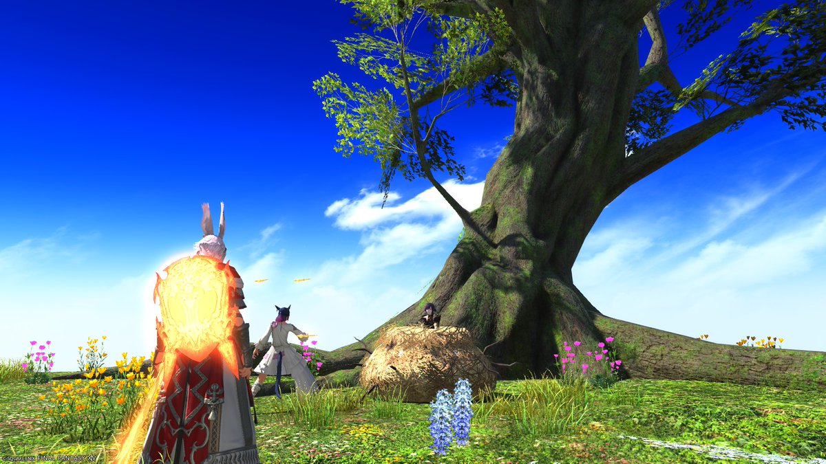 warabimochi_ff's tweet photo. ミハシラ100階！！！
宝の地図もめっちゃ楽しかった〜
残り3周！！
 #ff14ss  #ゴズ怖すぎ https://t.co/5gKUpdblwk
