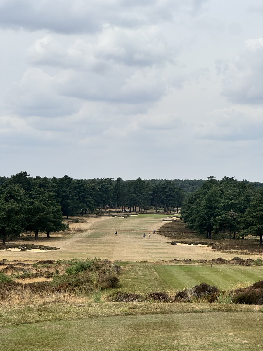 ScottCook23's tweet photo. @HankleyC ommon delivered! Firm and fast on an amazing piece of land. https://t.co/mGOBm3ySzt