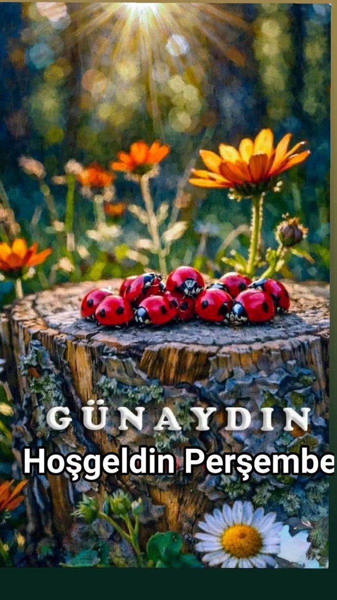 Denizdibt's tweet photo. @sakinolTugbaaa https://t.co/kX00y9FUcO