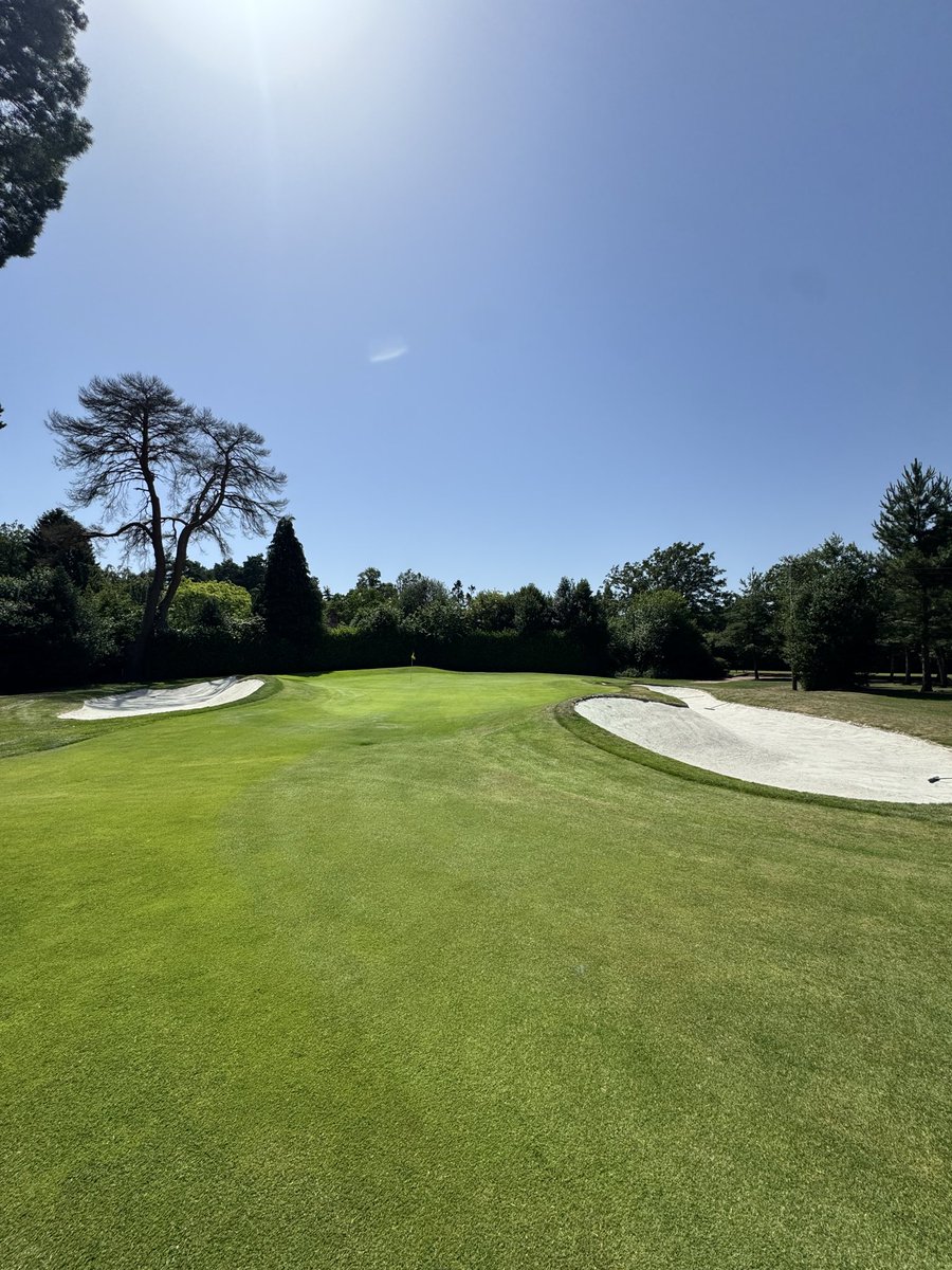 ScottCook23's tweet photo. @westhillpro quality day and weather at West Hill. Layout and greens superb. My first experience of the W’s. https://t.co/Gqfrw7mQ08