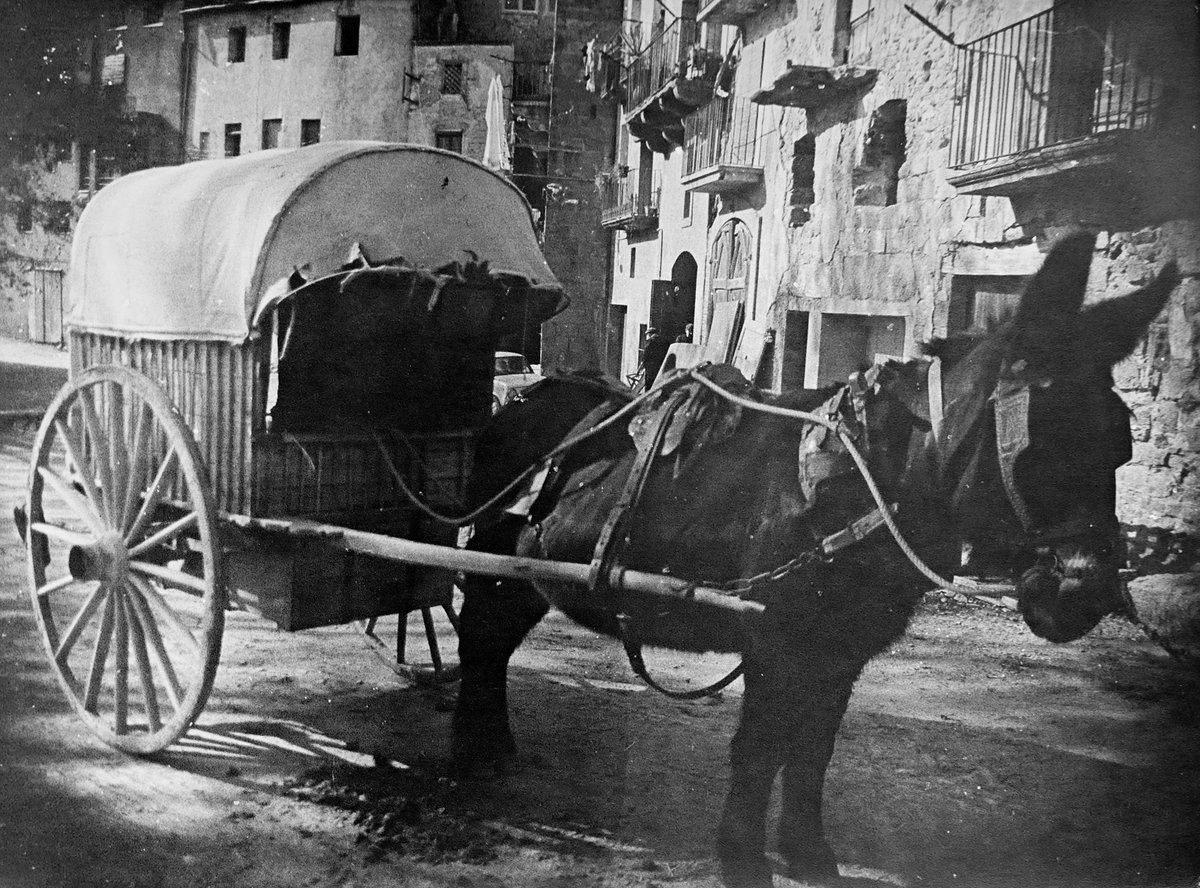 recordantora's tweet photo. Carro de vela i mula de cal Jovans, plaça de la Font. Vers 1973. Autor foto: Josep Gatnau i Grau.
#recordantora #memoriahistorica #memoriaoral #tora #arxiuapact https://t.co/GjKu6CTJwl