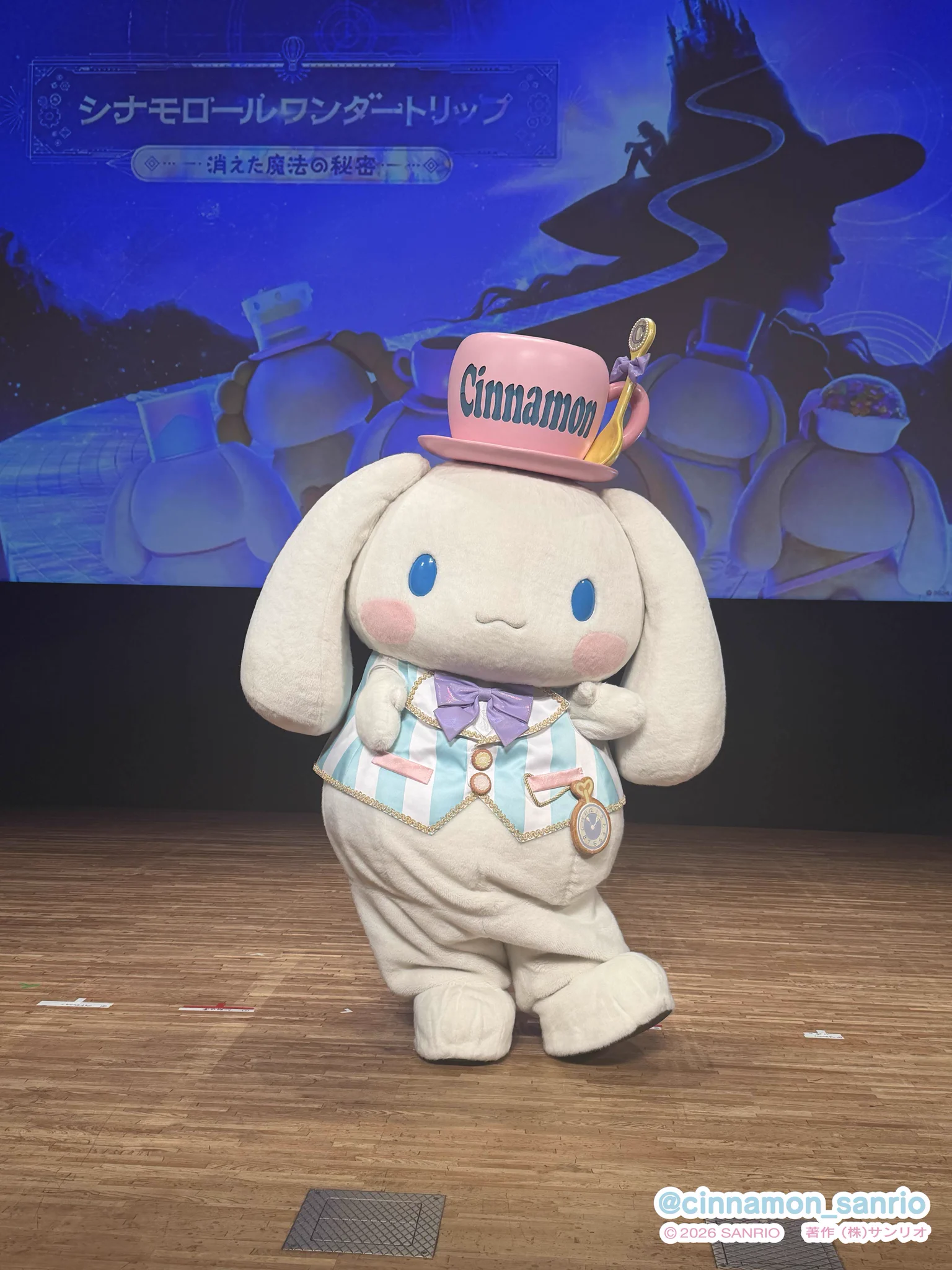 シナモン【公式】 on X: 