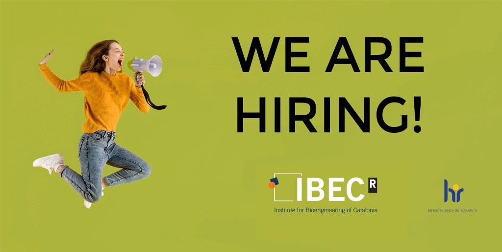 IBECBarcelona's tweet photo. We’re #HIRING: 2 Junior Group Leader Positions at #IBEC

→ Junior Group Leader in AI &amp; Data Science for Bioengineering
→ Junior Group Leader in Translational Pediatric Bioengineering

📩 Apply here: https://t.co/KbGHGUakbE https://t.co/7aAOOne19Q