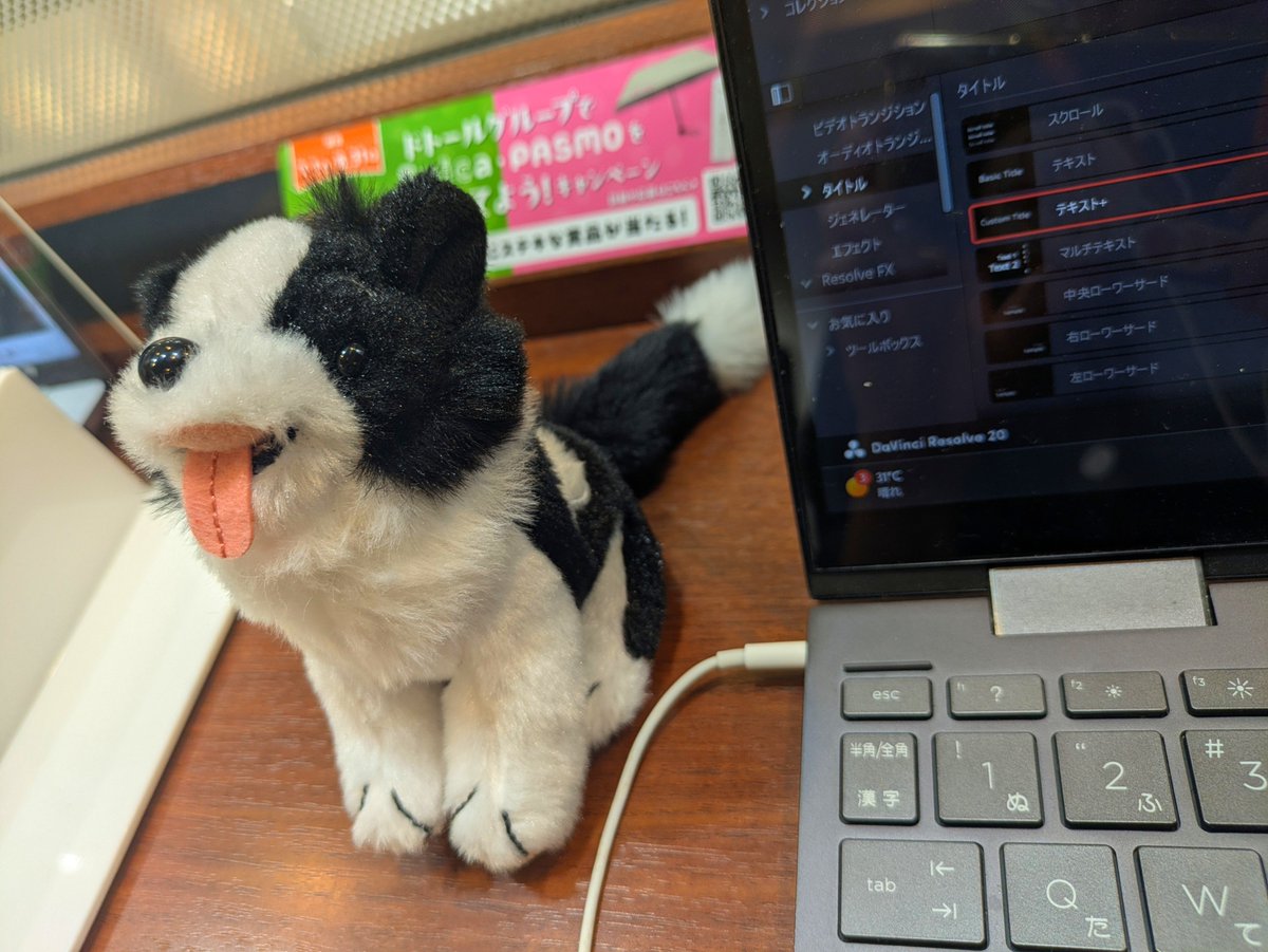 sumika_ykn's tweet photo. 避暑避暑っ
うちのコが一番かわいい現象🐶 https://t.co/Ir49rdLzRF