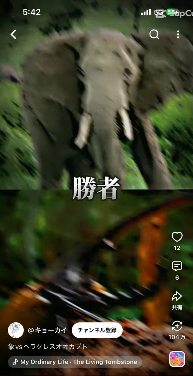 batoen_suzuki's tweet photo. 見る必要全く無かった https://t.co/OICIOhGCqd