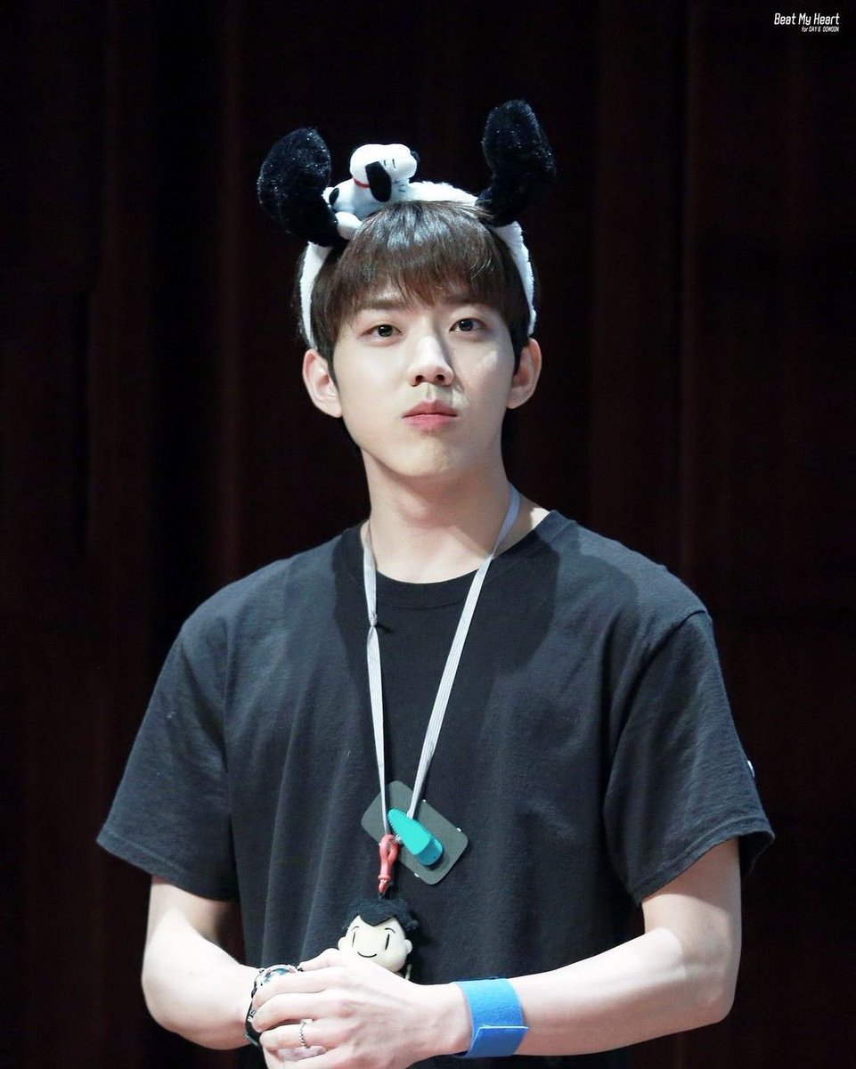 yopevv's tweet photo. 요런 아기강아가 벌써 . .🧎🏻🧎🏻 https://t.co/mkDPRtZYCR