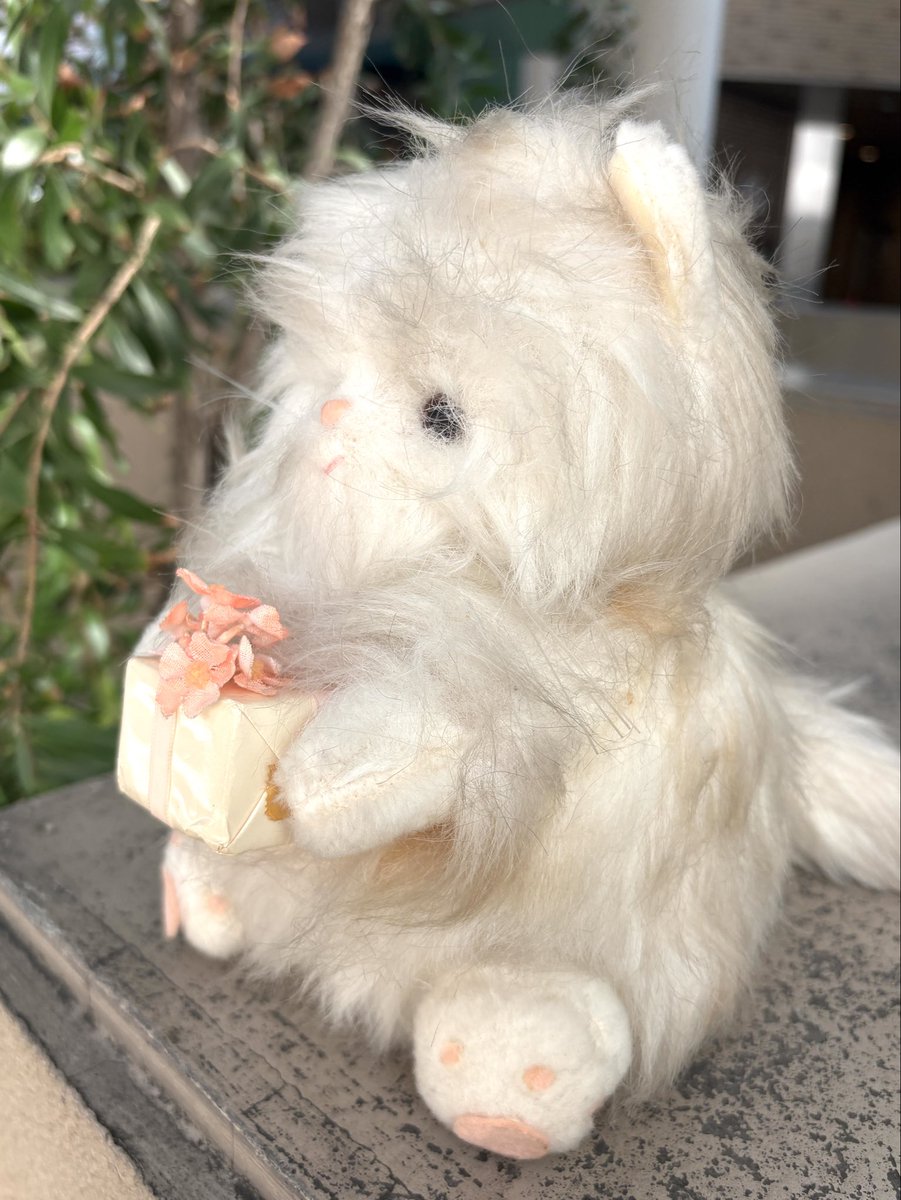 junkfoodopera's tweet photo. リサイクルショップの端っこで、ビニール袋に密閉された姿で
「プレゼントを用意して待ってたの」ってニコニコしながらこちらを見ていたので、
「おめえがわしへのプレゼントじゃい！！！！」って大急ぎで抱きしめてレジへ向かいました https://t.co/WZW0qpwPiC