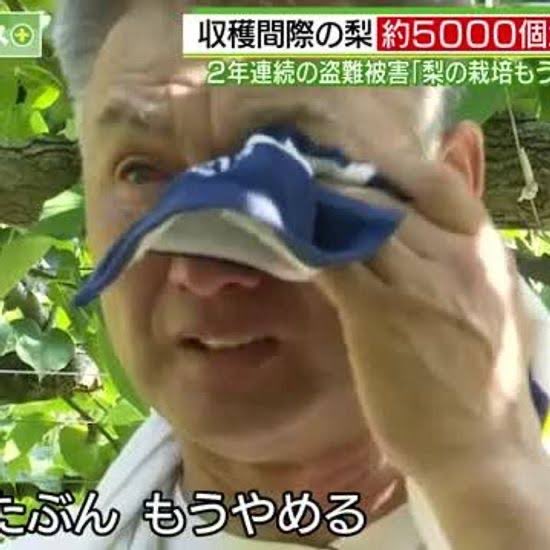 hikaruganji's tweet photo. 収穫期の果物や野菜を盗んだら、懲役３０年にしませんか？ https://t.co/Aeli9FEarU