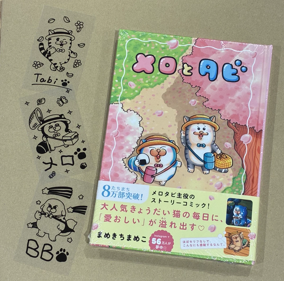 まめきちまめこ on X: 